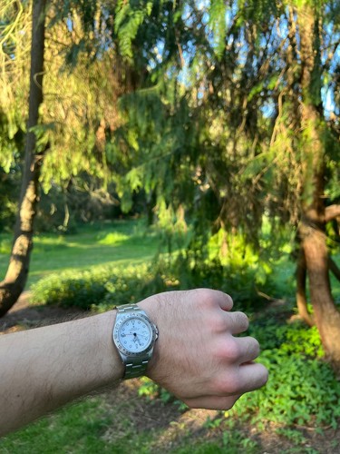 Rolex explorer white polar - white,